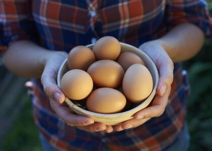 the benefits of chicken eggs